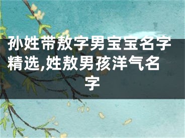 孙姓带敖字男宝宝名字精选,姓敖男孩洋气名字