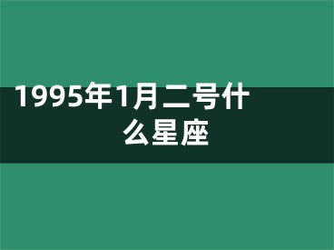 1995年1月二号什么星座