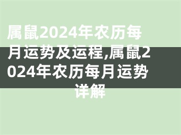 属鼠2024年农历每月运势及运程,属鼠2024年农历每月运势详解