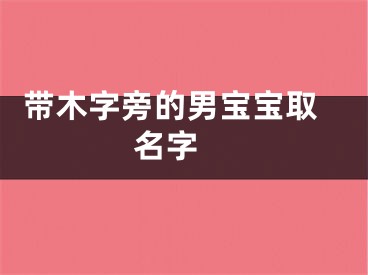  带木字旁的男宝宝取名字 