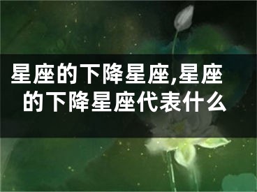 星座的下降星座,星座的下降星座代表什么