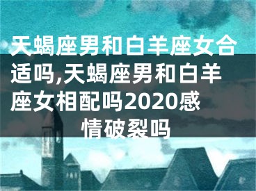 天蝎座男和白羊座女合适吗,天蝎座男和白羊座女相配吗2020感情破裂吗