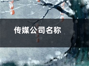  传媒公司名称 