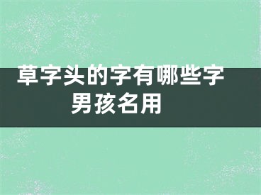  草字头的字有哪些字男孩名用 