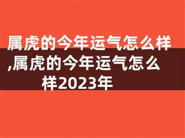 属虎的今年运气怎么样,属虎的今年运气怎么样2023年