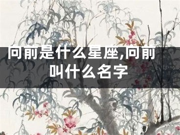 向前是什么星座,向前叫什么名字