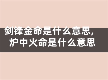 剑锋金命是什么意思,炉中火命是什么意思