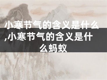 小寒节气的含义是什么,小寒节气的含义是什么蚂蚁