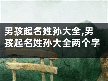 男孩起名姓孙大全,男孩起名姓孙大全两个字