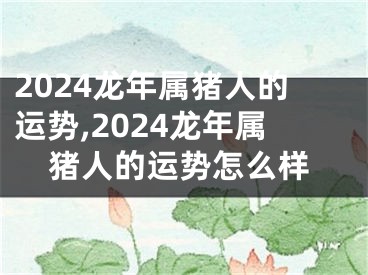 2024龙年属猪人的运势,2024龙年属猪人的运势怎么样