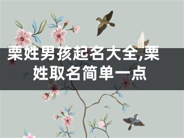 栗姓男孩起名大全,栗姓取名简单一点