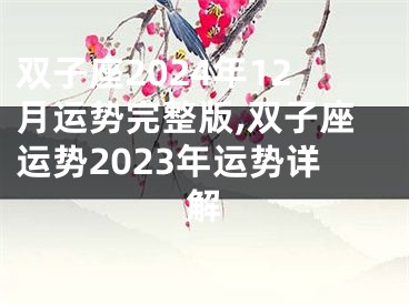 双子座2024年12月运势完整版,双子座运势2023年运势详解