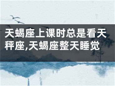 天蝎座上课时总是看天秤座,天蝎座整天睡觉