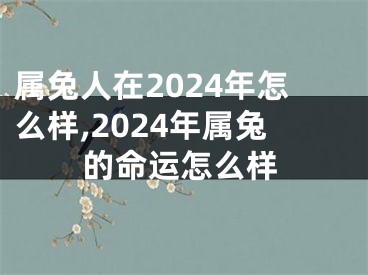 属兔人在2024年怎么样,2024年属兔的命运怎么样