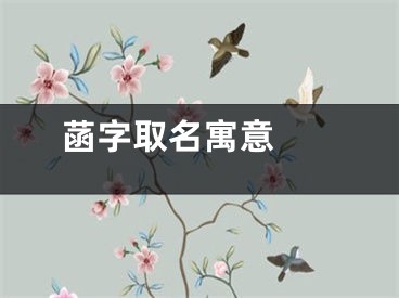  菡字取名寓意 