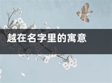  越在名字里的寓意 