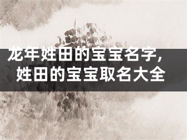 龙年姓田的宝宝名字,姓田的宝宝取名大全