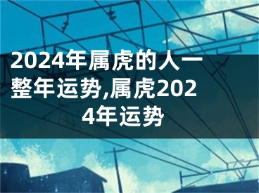 2024年属虎的人一整年运势,属虎2024年运势