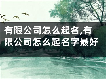 有限公司怎么起名,有限公司怎么起名字最好