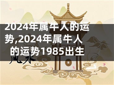 2024年属牛人的运势,2024年属牛人的运势1985出生