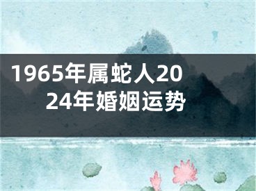 1965年属蛇人2024年婚姻运势