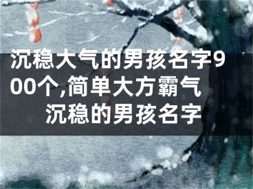 沉稳大气的男孩名字900个,简单大方霸气沉稳的男孩名字