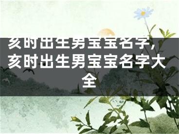 亥时出生男宝宝名字,亥时出生男宝宝名字大全