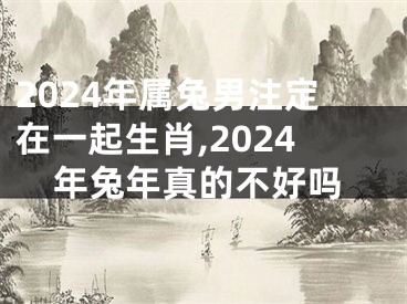 2024年属兔男注定在一起生肖,2024年兔年真的不好吗