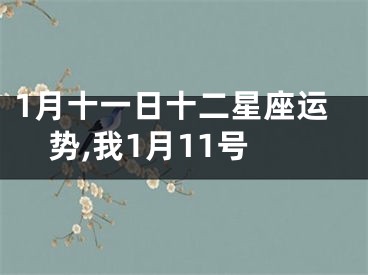 1月十一日十二星座运势,我1月11号