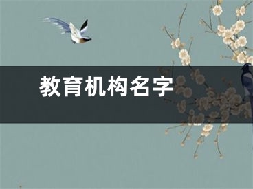  教育机构名字 