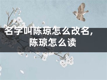 名字叫陈琼怎么改名,陈琼怎么读