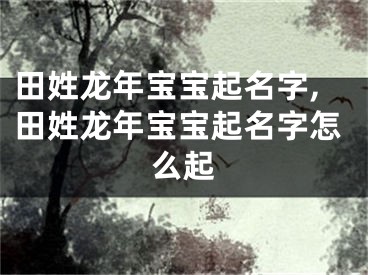 田姓龙年宝宝起名字,田姓龙年宝宝起名字怎么起