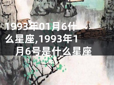 1993年01月6什么星座,1993年1月6号是什么星座