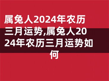 属兔人2024年农历三月运势,属兔人2024年农历三月运势如何