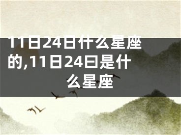 11日24日什么星座的,11日24曰是什么星座