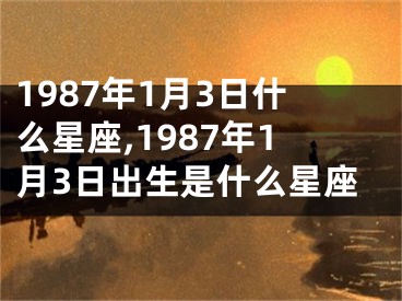 1987年1月3日什么星座,1987年1月3日出生是什么星座