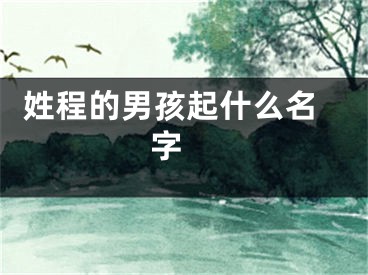  姓程的男孩起什么名字 