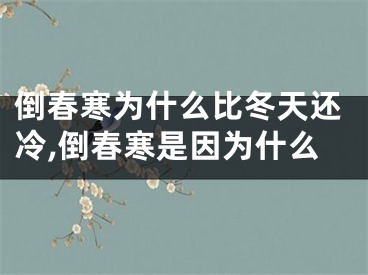 倒春寒为什么比冬天还冷,倒春寒是因为什么