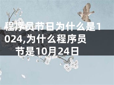 程序员节日为什么是1024,为什么程序员节是10月24日