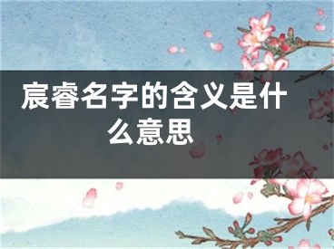  宸睿名字的含义是什么意思 