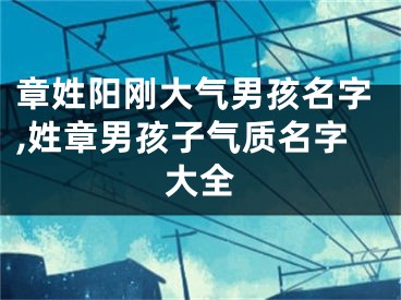 章姓阳刚大气男孩名字,姓章男孩子气质名字大全