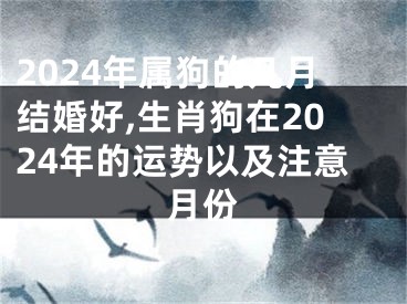 2024年属狗的几月结婚好,生肖狗在2024年的运势以及注意月份