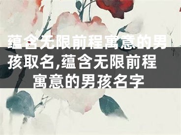 蕴含无限前程寓意的男孩取名,蕴含无限前程寓意的男孩名字