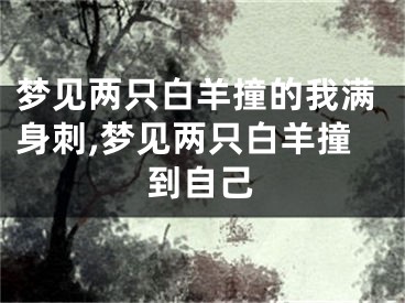 梦见两只白羊撞的我满身刺,梦见两只白羊撞到自己