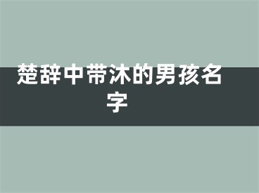  楚辞中带沐的男孩名字 