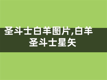 圣斗士白羊图片,白羊圣斗士星矢