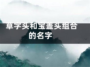  草字头和宝盖头组合的名字 