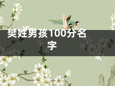  樊姓男孩100分名字 