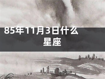 85年11月3日什么星座