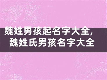 魏姓男孩起名字大全,魏姓氏男孩名字大全